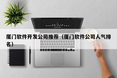 廈門軟件開發公司推薦(廈門軟件公司人氣排名)